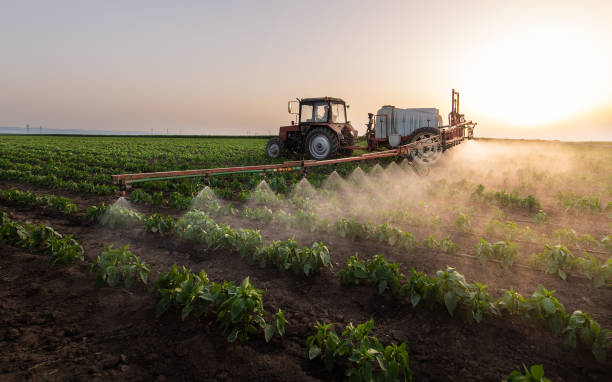 Professional Pest Control in Eldon, MO