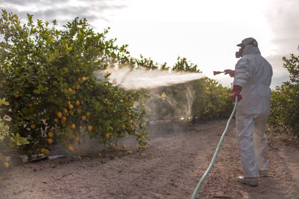 Best Commercial Pest Control Services  in Eldon, MO