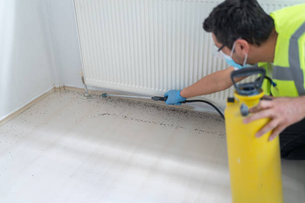 Best Mosquito Control Services  in Eldon, MO