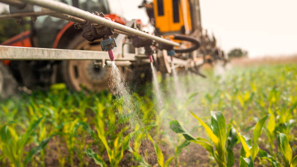 Pest Control Cost in Eldon, MO